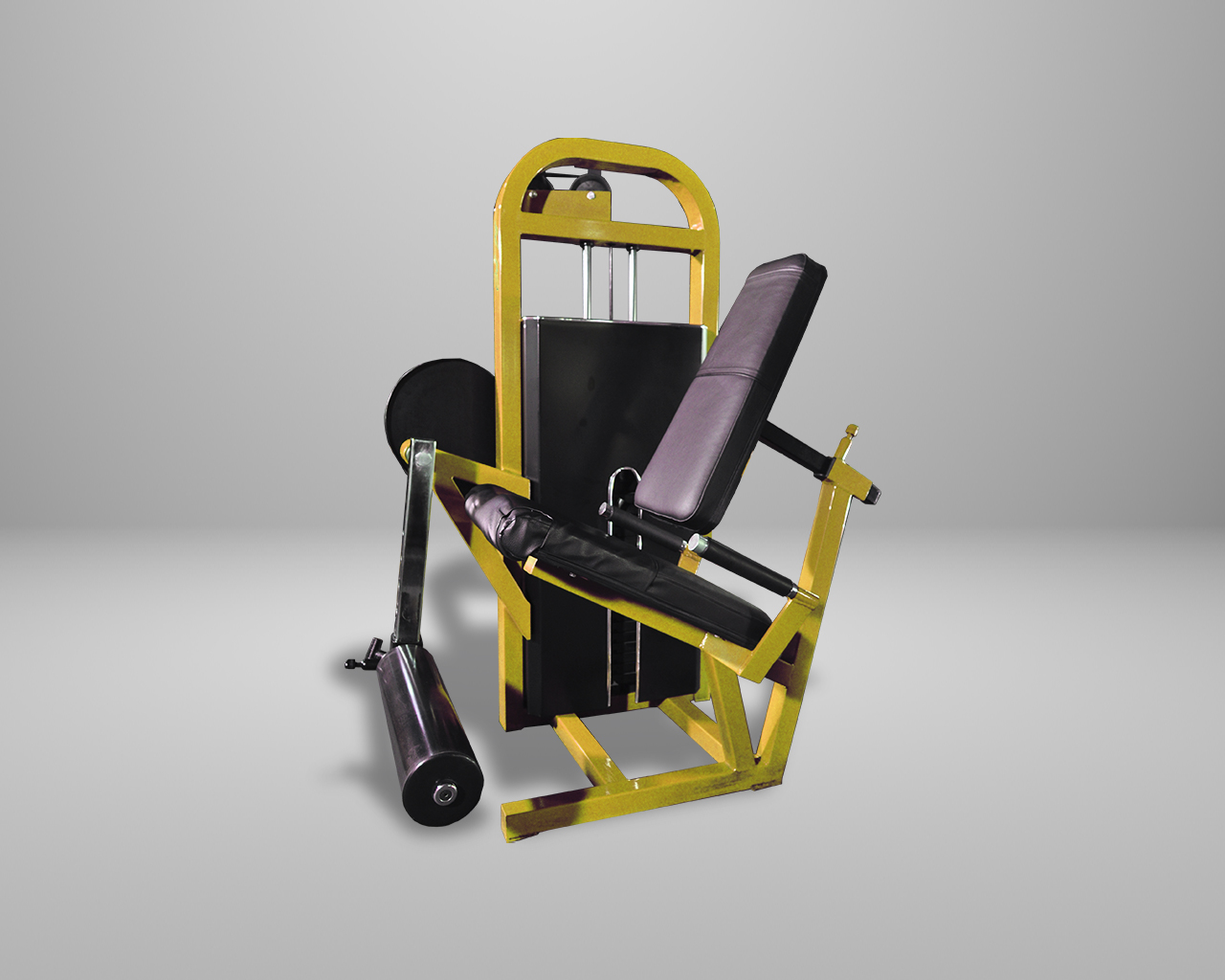 Máquina extensión para pierna con Tolva